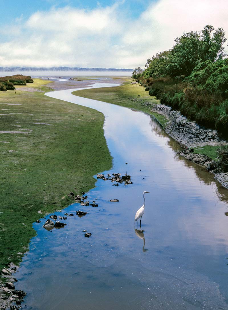 Humboldt Bay