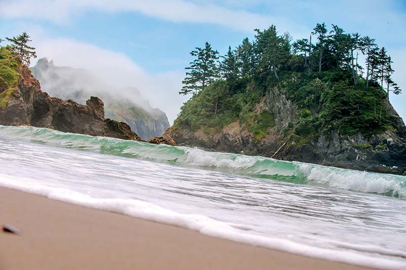 College Cove