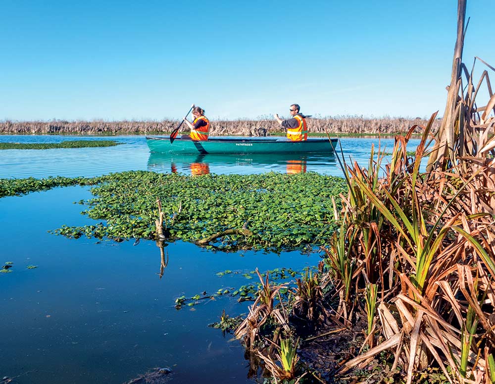 Paddling for water samples at the Arcata Marsh