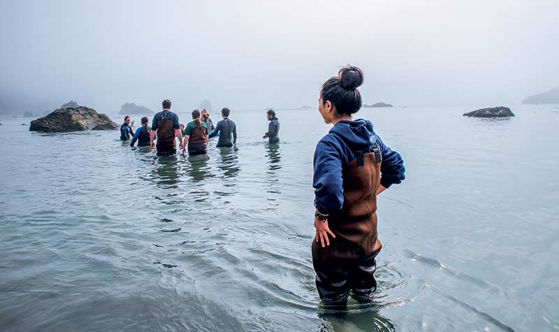 Seining for fish in Trinidad Bay