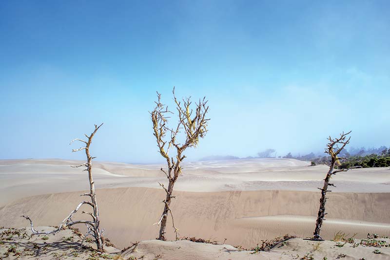 Ma-le'l Dunes