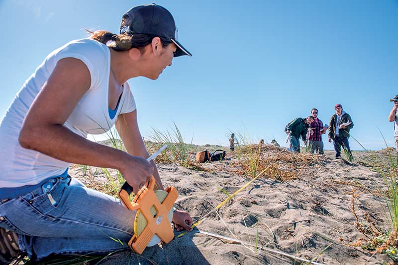 Analyzing vegetation on the South Spit of Humboldt Bay