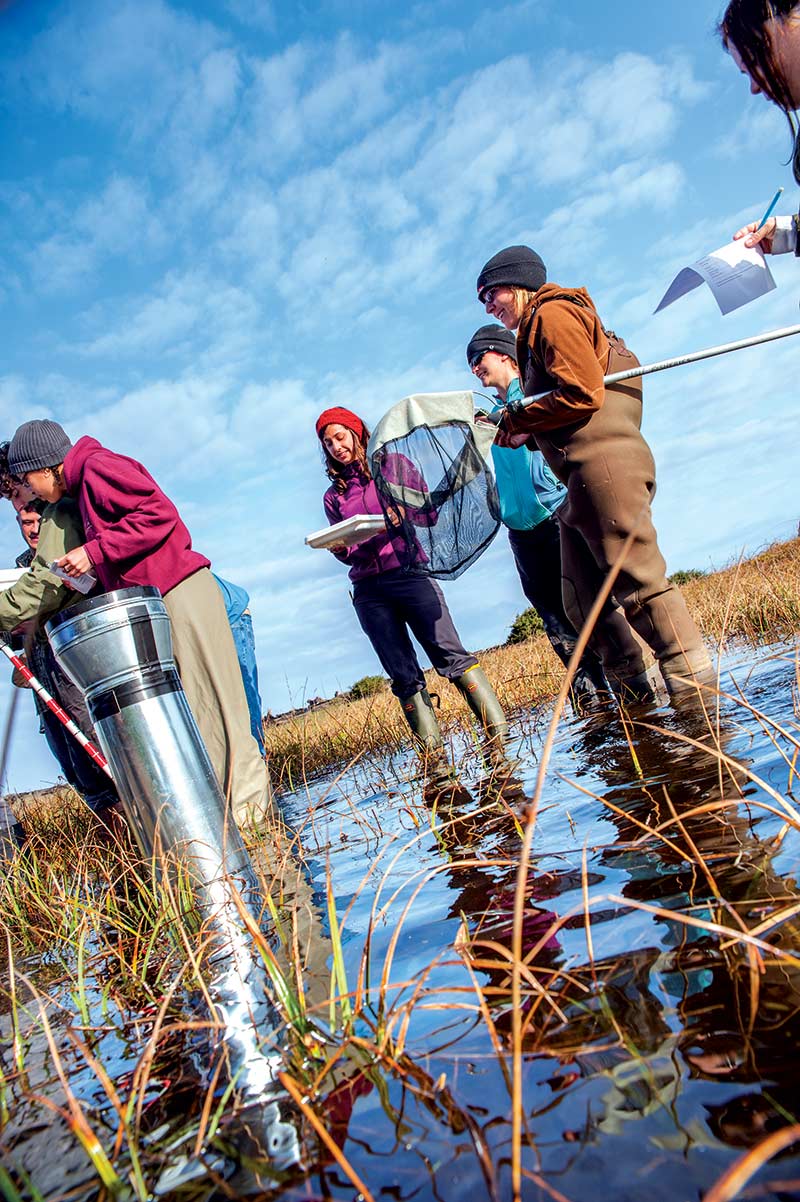 Netting invertebrates at Dry Lagoon